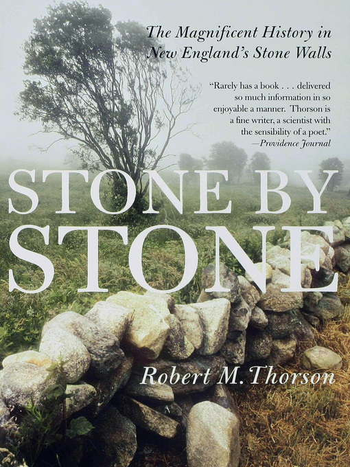 Cover image for Stone by Stone